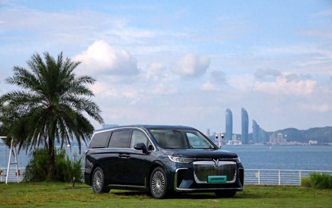 全新嵐圖夢(mèng)想家 用“全能”沖擊高端豪華MPV市場(chǎng)